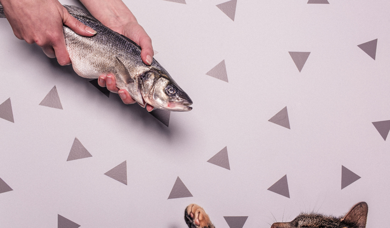 Vote up or down and select best present for birthdayVote up or down and select best present for birthdayVote up or down and select best present for birthday